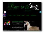 Dare To Be