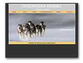 Deboraska Siberian Huskies
