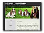 De Ginta Latina Basset Hound