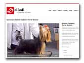 Deilodi yorkshire terrier