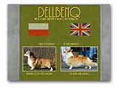 Dellbenq - welsh corgi kennel