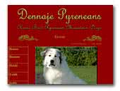 Dennaje Pyrenean Mountain Dogs