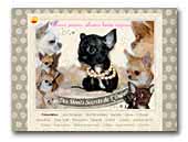 Des Monts Secrets de L'Oural Chihuahua's and Pomeranian's Kennel
