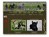 kennel 'Elfgrace'