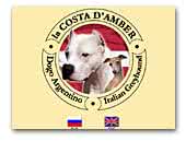 La Cpsya d'Amber Italian Greyhound and Dogo Argentino