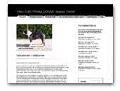 Donna's Pride - Boston terrier breeder