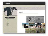Kennel Dora Grey