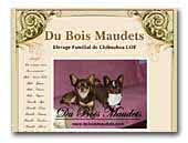 Du Bois Maudets - Elevage de Chihuahua LOF