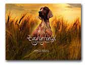 Eaglefield Irish Red Setter
