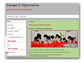 Di Dghyovellina