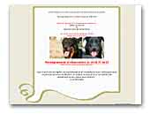 Elevage des Beaucerons l'Ombre rouge de Phrygie