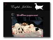 English JetSetter kennel
