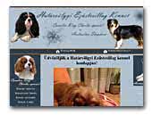 Határvölgyi Ezüstcsillag kennel