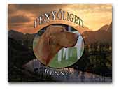 Fenyőligeti Magyar Vizsla Kennela
