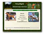 Fenyőligeti Kennel Magyar Vizsla