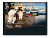 Flawless Diamonds FCi Shetland Sheepdog