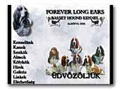Forever Long Ears Basset Hound Kennel