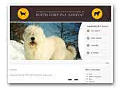 Fortis Fortuna Adiuvat romanian miortic sheperd dog