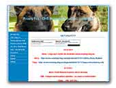 Frosty Foc - Kennel of Malinois