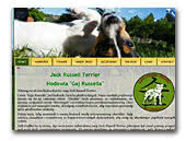 Hodowla Gaj Russella - Jack Russell Terrier