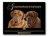 Gammorreon Dogue De Bordeaux