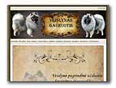 Gauruotis keeshond
