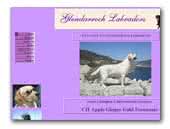 Glendarroch Labrador Retrievers