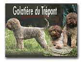 GdT Kennel