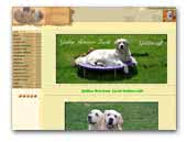 Goldencroft Golden Retriever