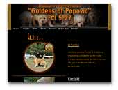 Goldens of Popovic