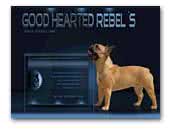 Good Hearted Rebel's French Bulldog Kennel