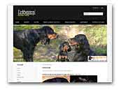 Black Bess Angel Gordon Setter Kennel