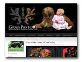 Granpastore Briard