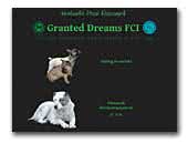 Granted Dreams FCI