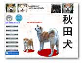 Hanarei No Japanese Akita Kennel FCI