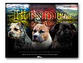 Hindu Kennel