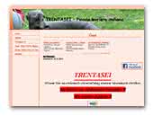 Trentasei