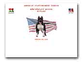 Hörcsögfalvi American Staffordshire terrier Kennel