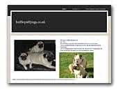 Hufflepuffpugs.co.uk
