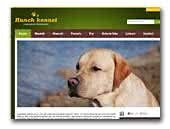 Hunch Kennel - Labrador Retriever