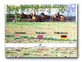 Hungaricum Dukát Hungarian Vizsla kennel
