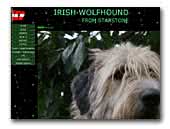 Irish Wolfhound from Starstone