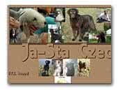 Kennel Ja-Sta Czech