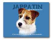 Jappatin Parson Russell Terriers