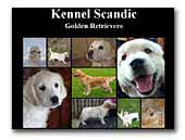 Kennel Scandic