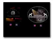 StarWave Labradoodle
