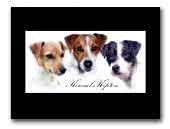 Kennel Kipton