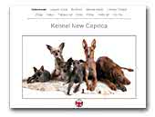 Kennel New Caprica