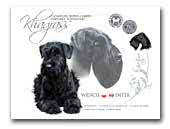 Khagrass Standard Schnauzer Black