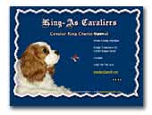 King-As Cavaliers